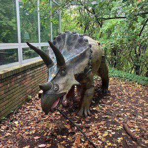 Meet your Posher, Mariam